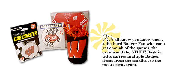 Bucky Badger Items